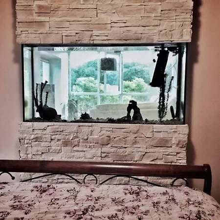 Cozy Where You Can Feel Freedom * Рига