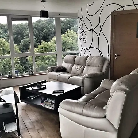 Cozy Where You Can Feel Freedom *